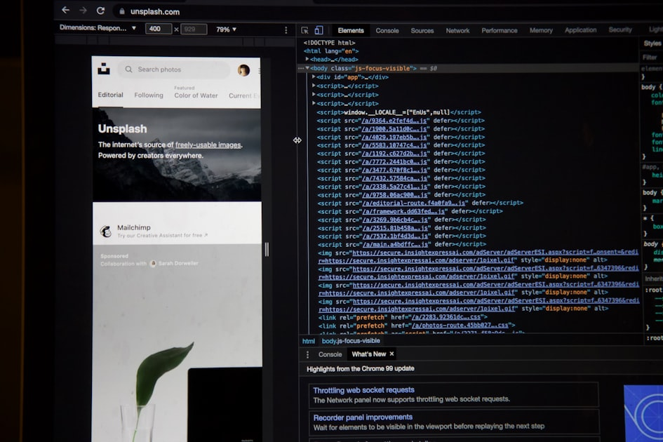 Understanding Website Expiration
